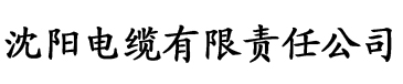 极品家丁远方来客(续写新篇章)不详电缆厂logo